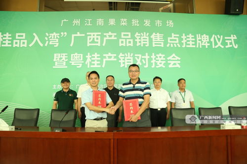 深化合作譜新篇 粵桂消費(fèi)協(xié)作再升級，“桂品入灣”助推區(qū)域發(fā)展